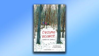 L'ultimo bisonte